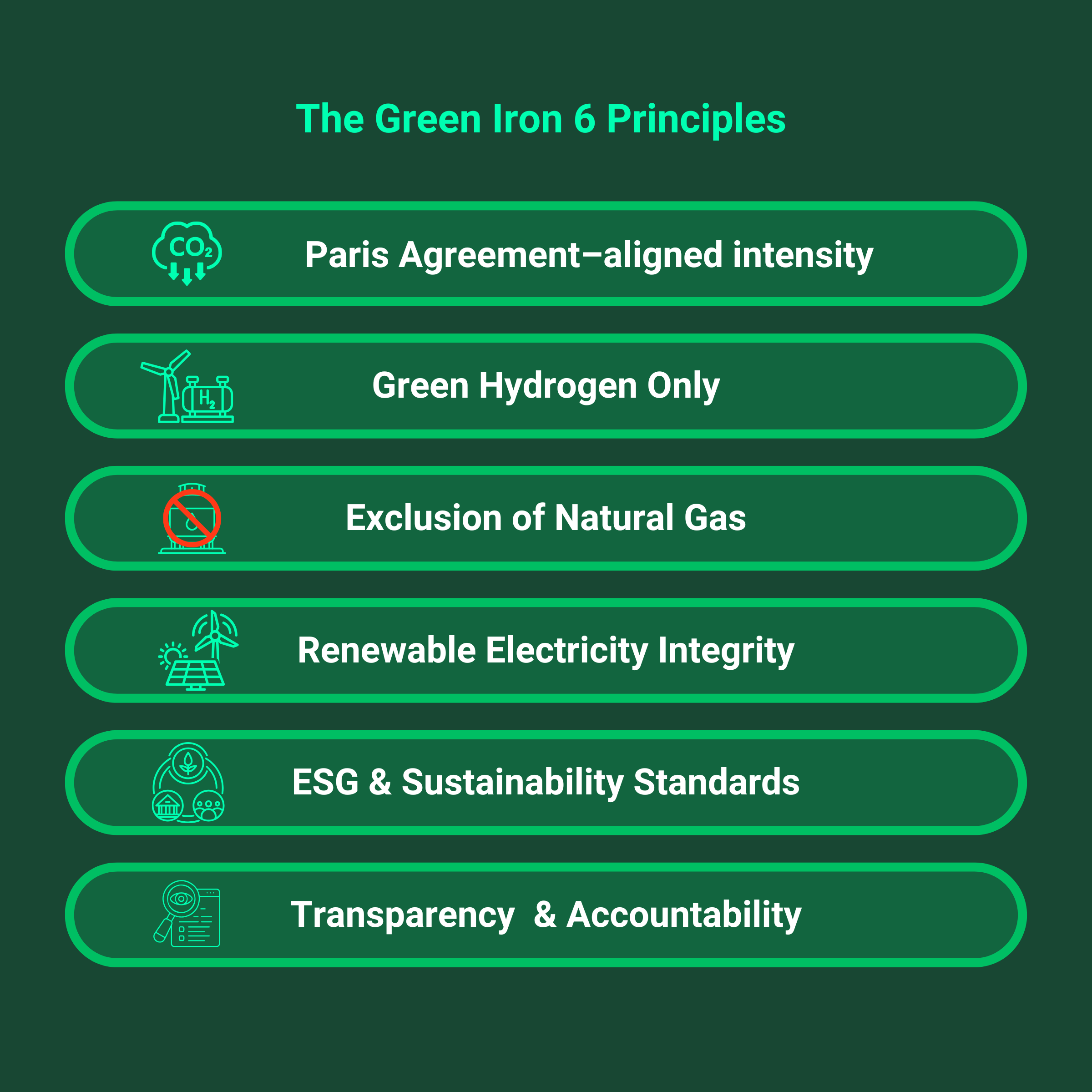 Green Hydrogen Organisation