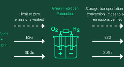 Diagram for the Green Hydrogen Standard