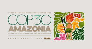 COP 30 3