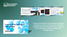 In search of the real price of blue hydrogen