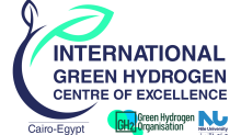 Centre of Excellence Logo