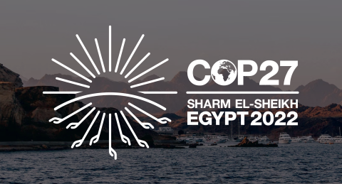 COP 27 logo