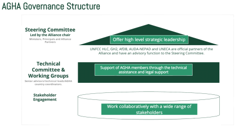AGHA Governance Structure